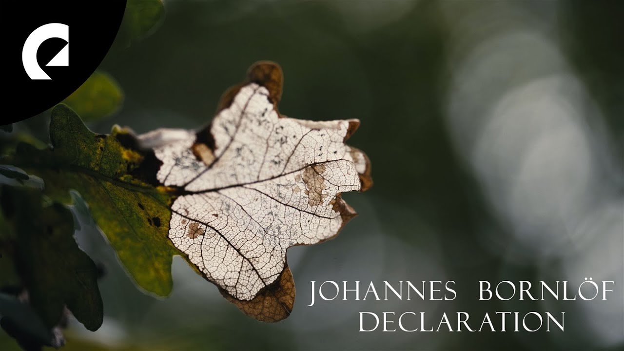 Johannes Bornlöf - Declaration (Cinematic Mood Video)