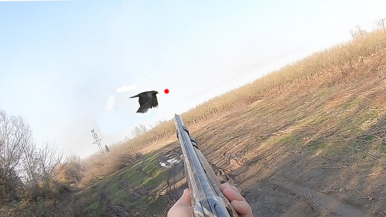 ЧЕРНАЯ КУРИЦА ОХОТА (ШОТКАМ) ENG.SUB.