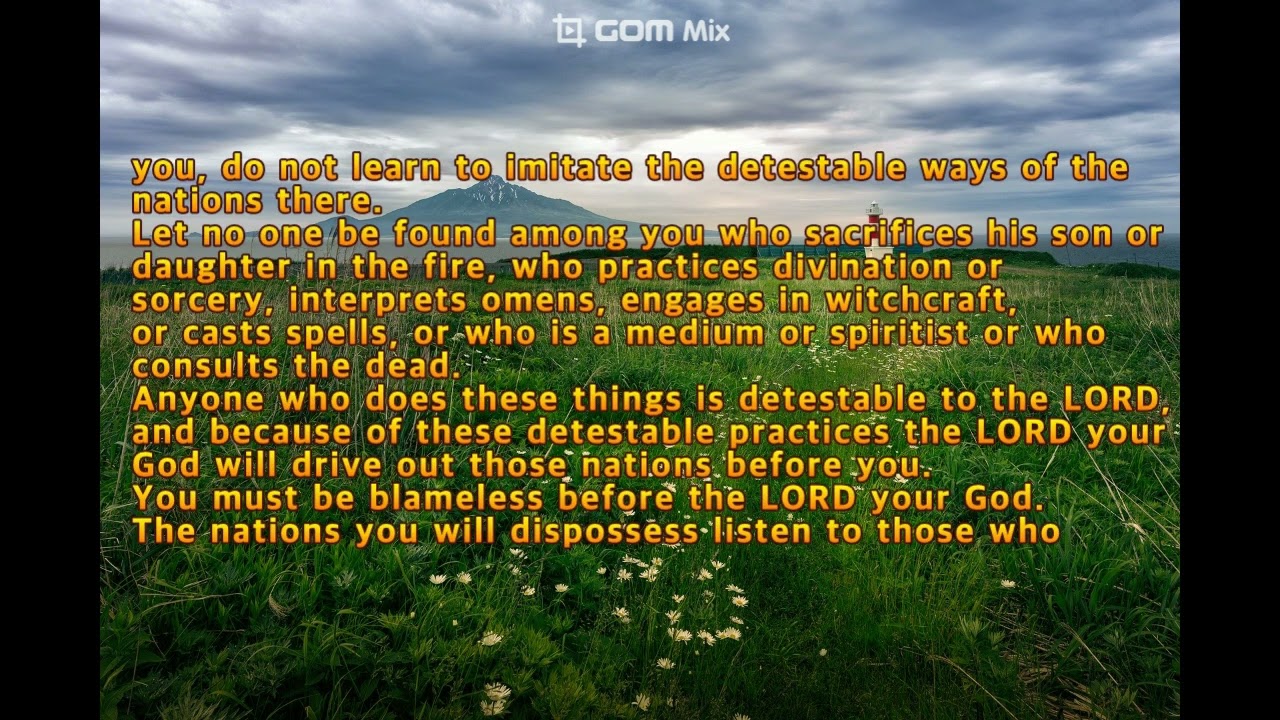 Deuteronomy chapter 18, The Bible, NIV, ahnpav, 안파브, Pav Ahn, reading The Bible in English, 영어성경읽기