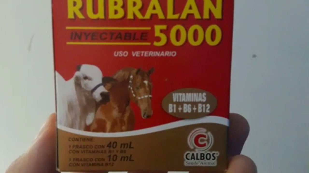 Aplicando vitamina nas potras