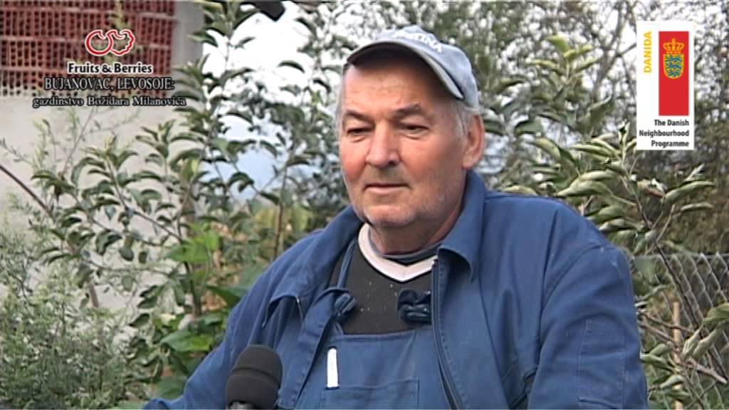 10   BUJANOVAC, LEVOSOJE   Bozidar Milanovic grafika
