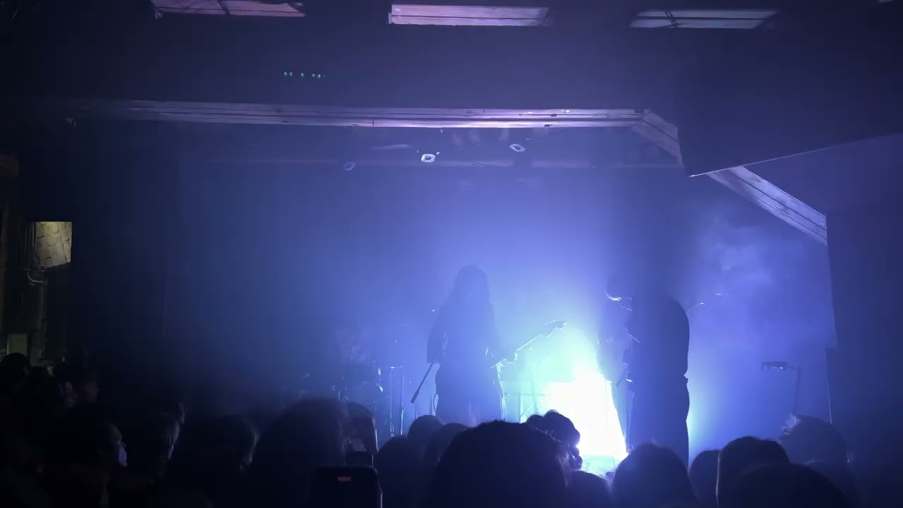 конъюнктура &mdash; лесополоса (27.02.25, @Цоколь 2.0, Санкт-Петербург)