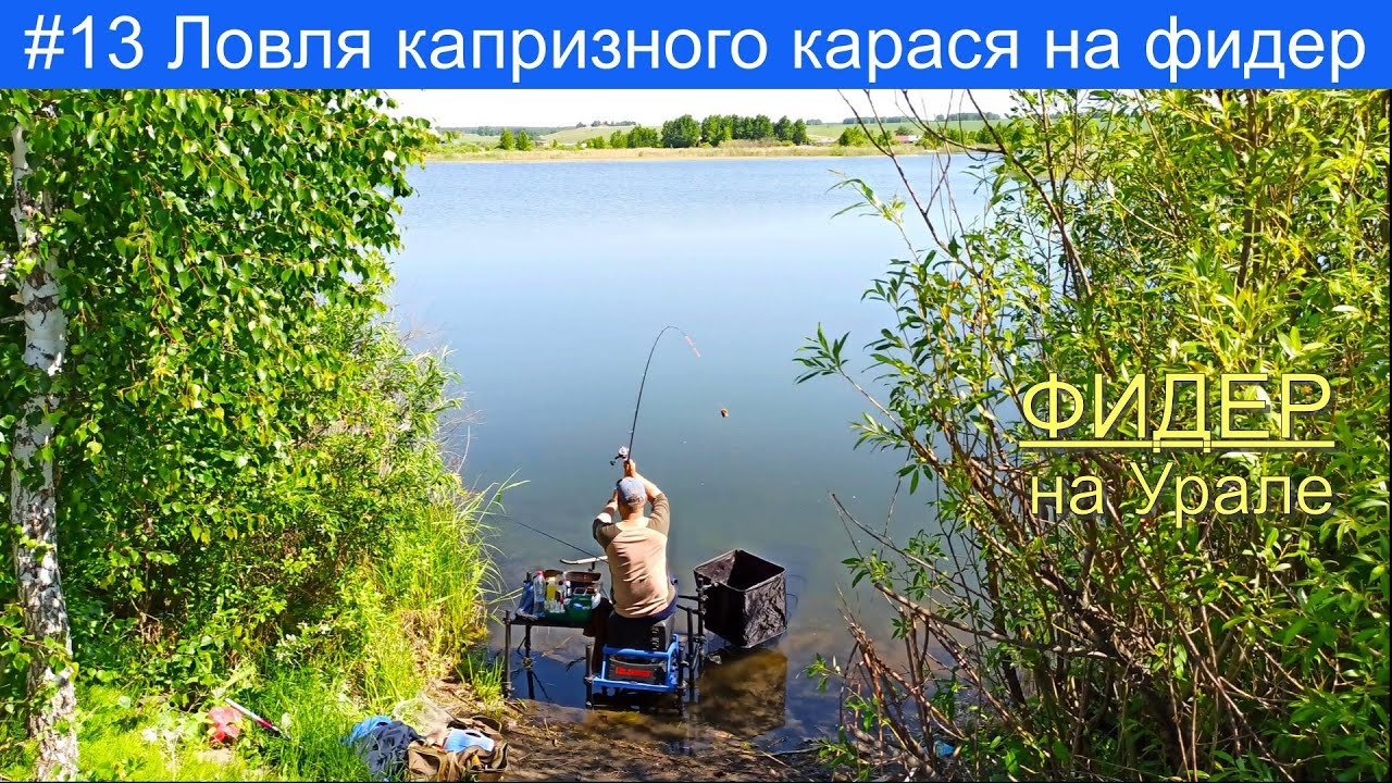 Ловля капризного карася на фидер. Рыбалка в Челябинской области.