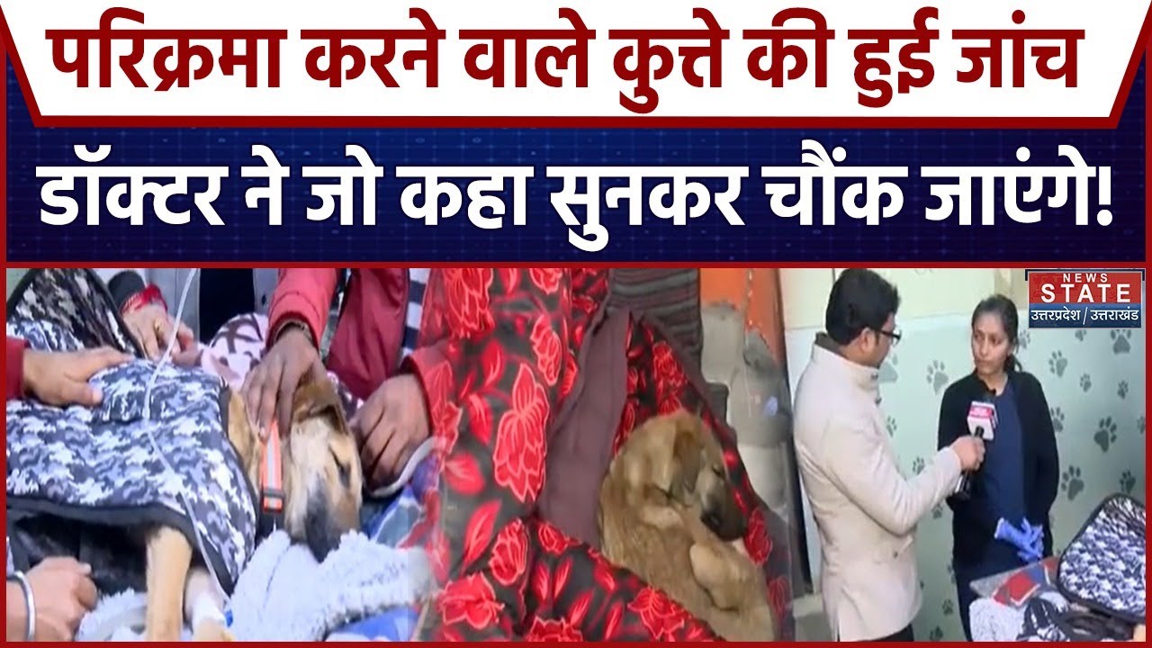 परिक्रमा करने वाले Viral Dog की Delhi के Max Hospital में हुई जांच, Doctor ने चौंकाया! Bijnor | UP