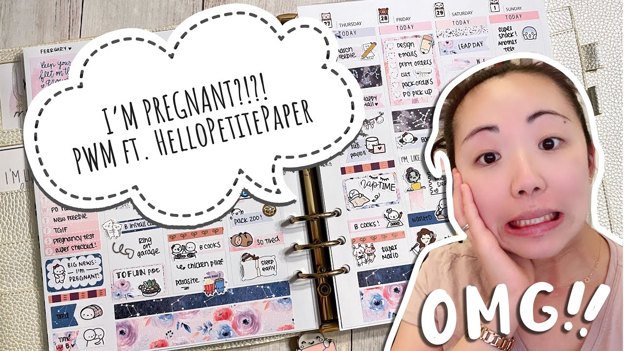 Plan With Me // I'M PREGNANT?!?! ft. HelloPetitePaper