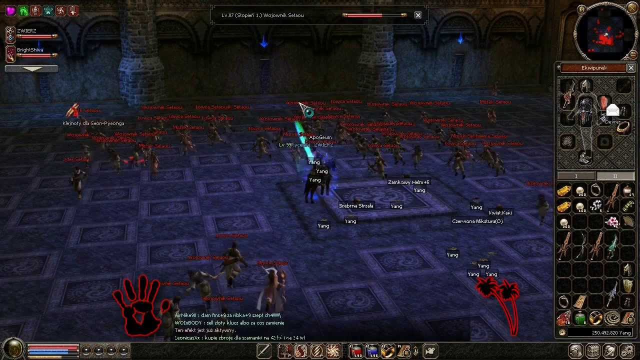 Metin2 PL - ZWIERZ VS Grota Wygnańców - Poziom 2 GV2 (Grotto of Exile) - onyks