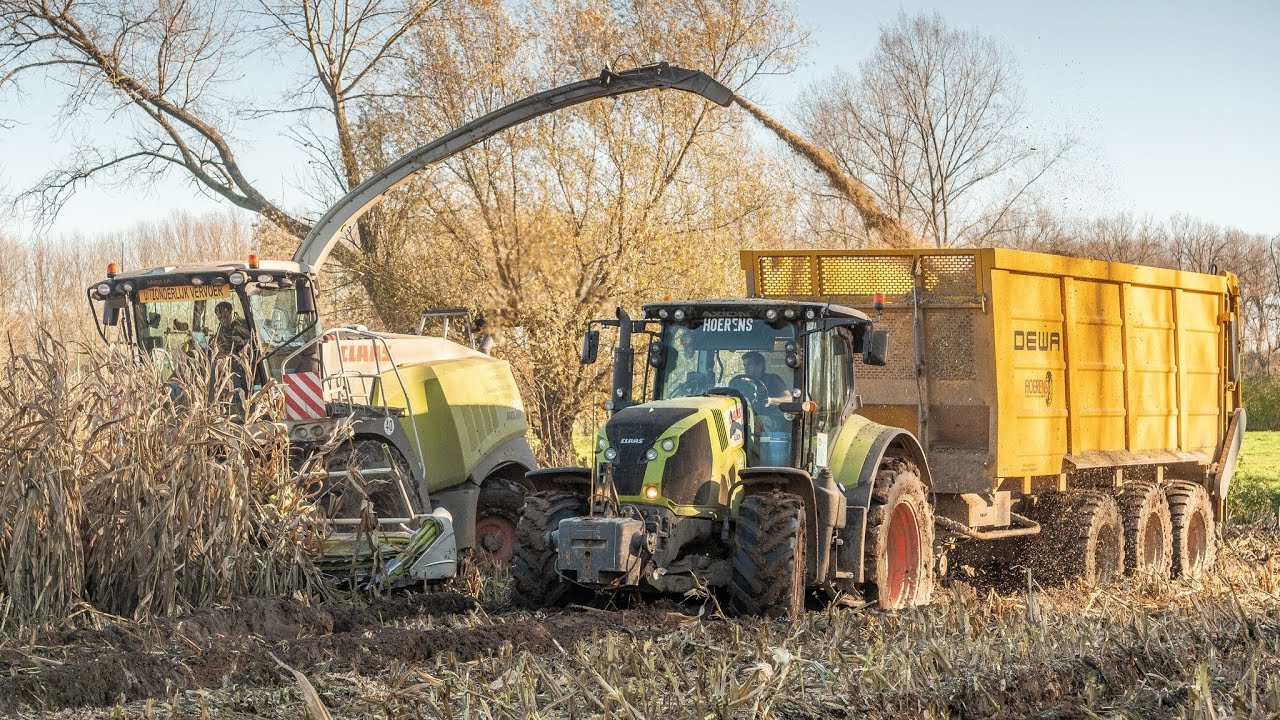 Harvesting mais in the mud 2020 | Dewa | Claas tractors | Loonwerken Hoerens | #PURESOUND