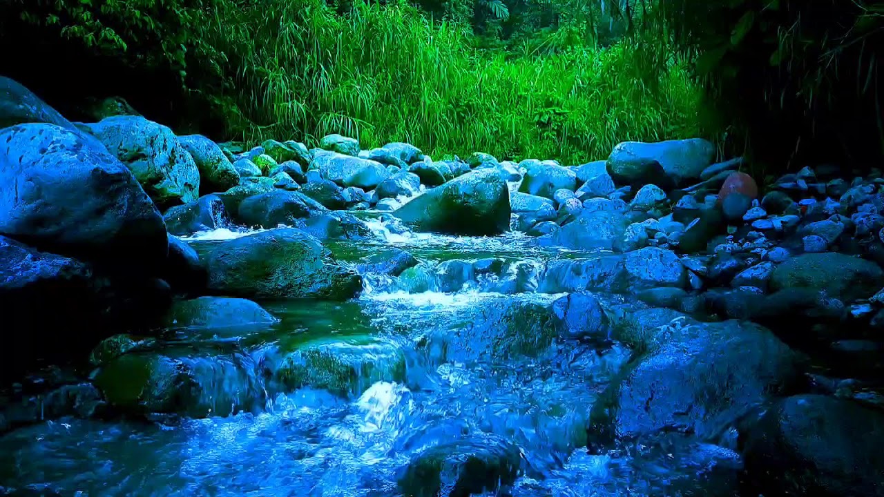 🍃 Clear Forest River ASMR Sounds for Deep Sleep, Relaxation & Mental Calm