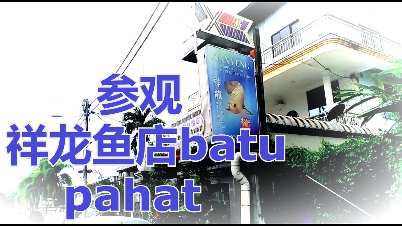 参观  祥龙鱼店batu pahat