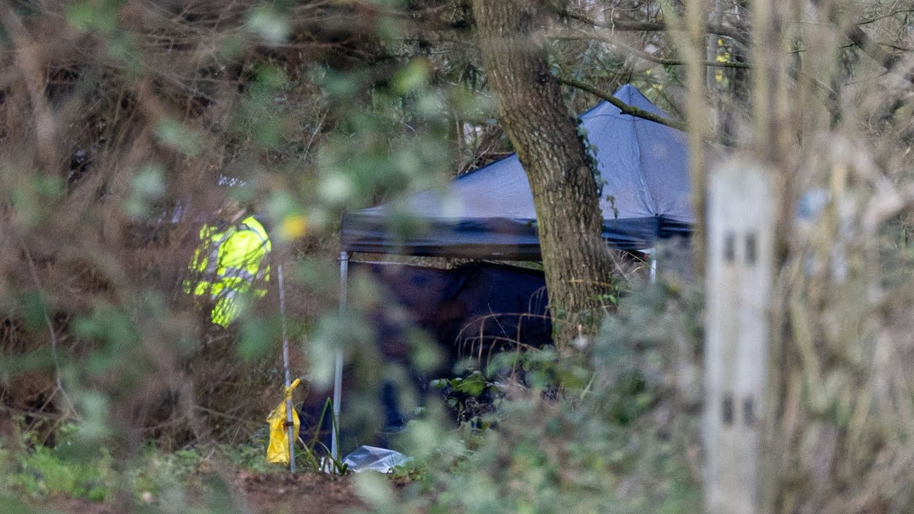 Murder hunt after teenage boy 'stabbed to death' in Guildford | SWNS