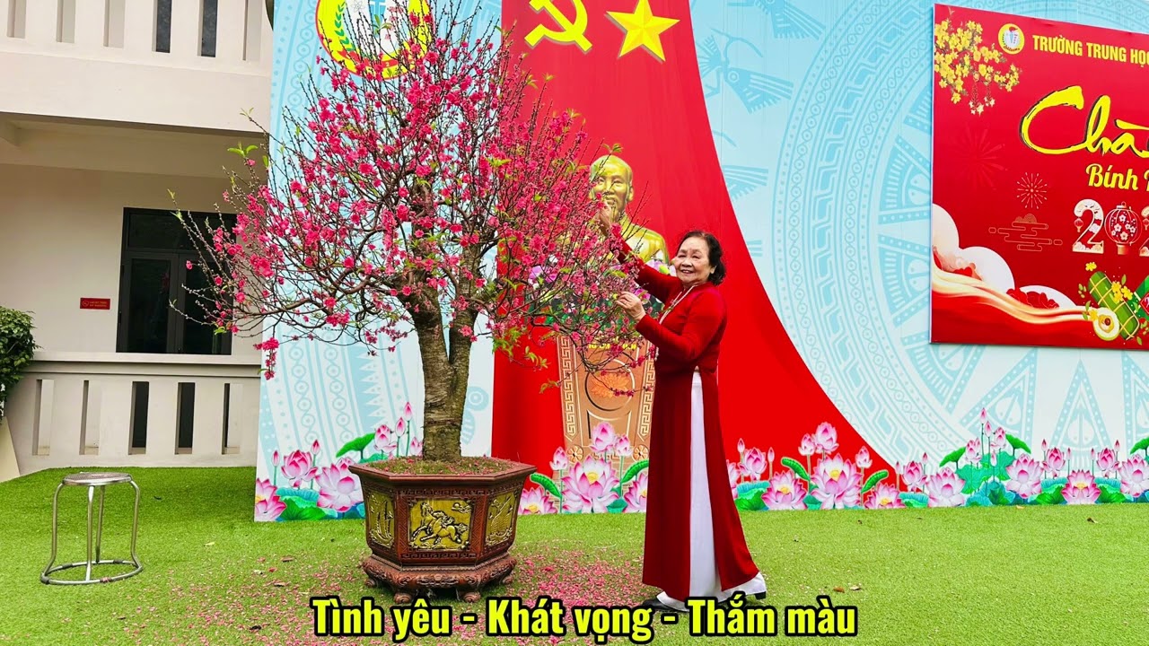 damcuoivangdongve2026