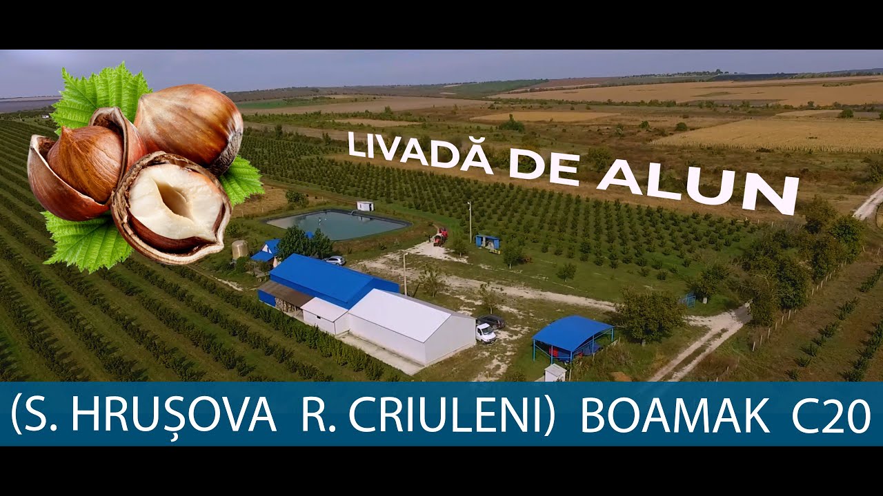 Livada de Alun (s. Hrușova  r. Criuleni) Stropitoare Boa Stormking C20
