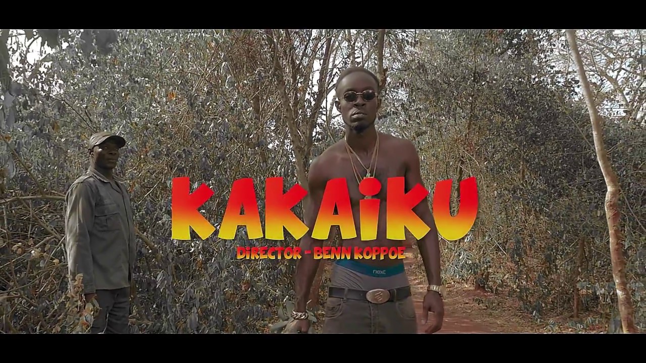 SKONTI KAKAIKU FT MEDIKAL N FLOWKINGSTONE OFFICIAL VIDEO   FULL HD