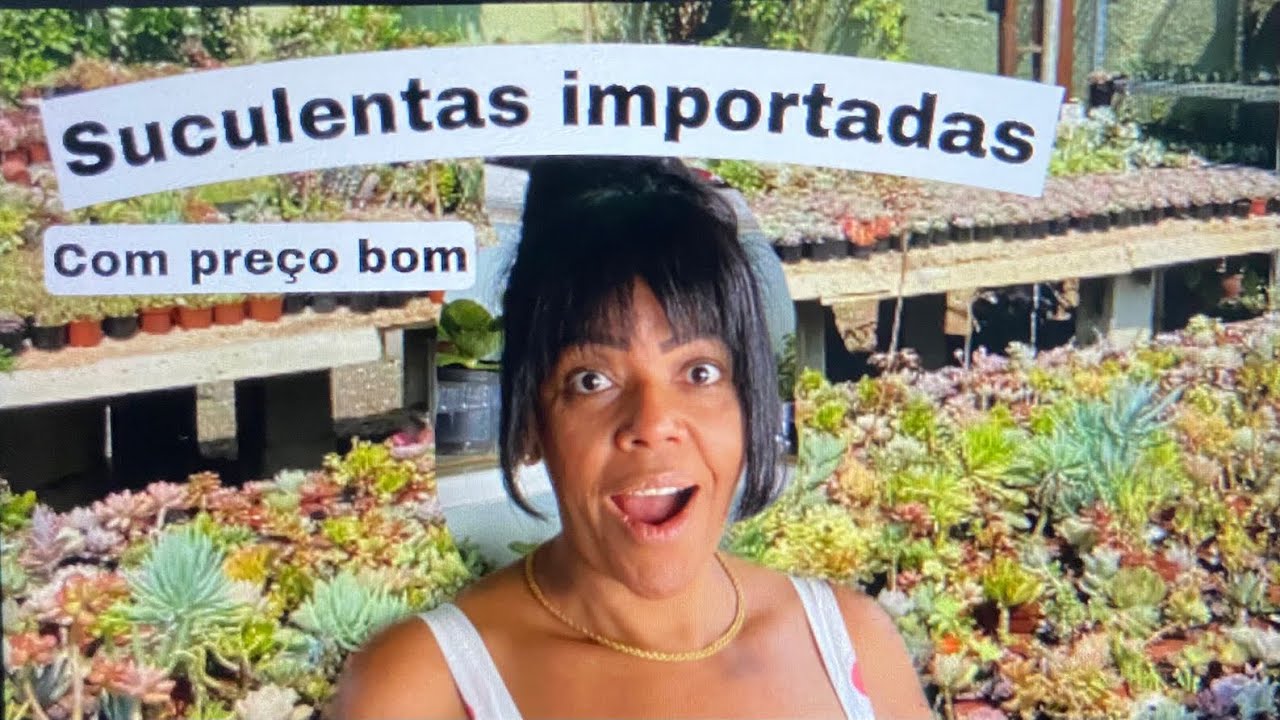 Suculentas importadas com pre&ccedil;o acess&iacute;vel!!