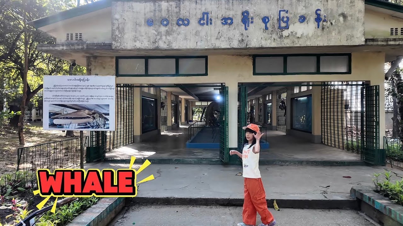 သဘာဝသမိုင်းပြတိုက်သို့ အလည်တစ်ခေါက် 🥰 ( Explore The Natural History Museum @ Yangon Zoo ) •••