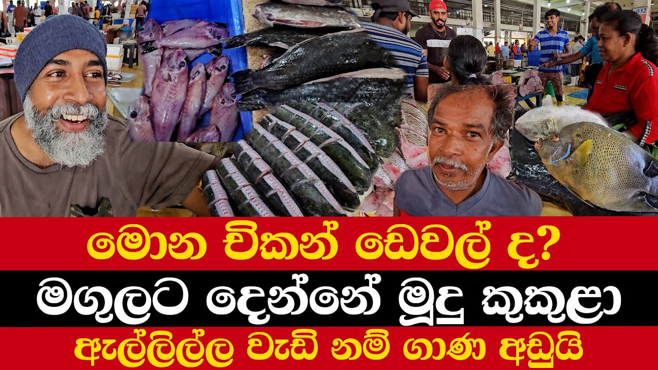 මොන චිකන් ඩෙවල් ද? | මගුලට දෙන්නේ මූදු කුකුළා  | ඇල්ලිල්ල වැඩි නම් ගාණ අඩුයි