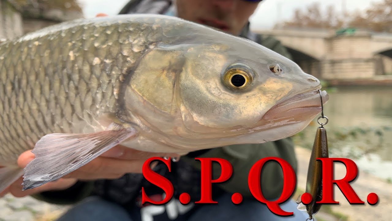 GRAZIE a LUI, ho CATTURATO al TEVERE!- STREET FISHING ROMANO
