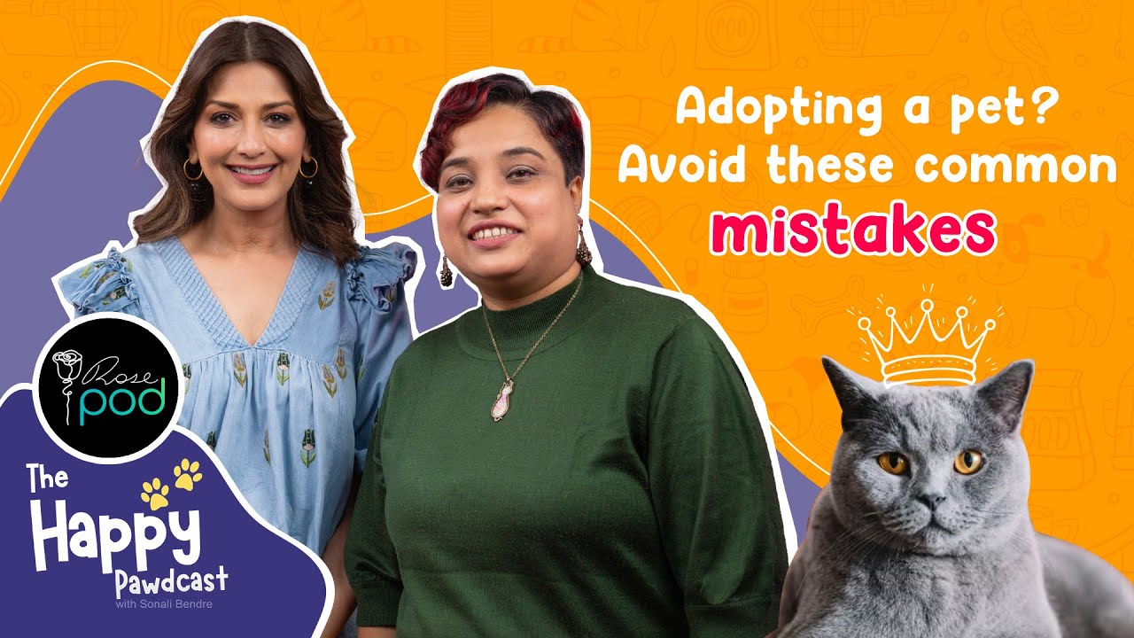 Pet Insurance, Community Pets & Stories That Steal Your Heart S1 Ep9| The Happy Pawdcast @TheHappyPawdcast