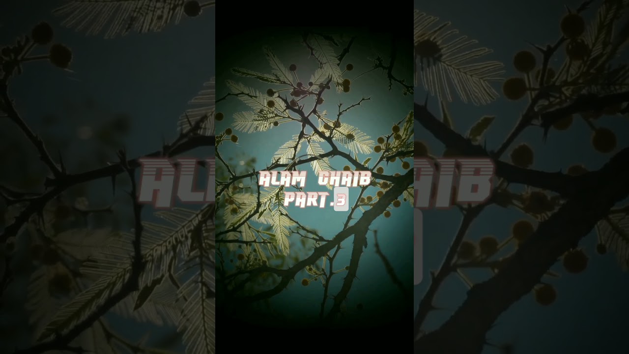 Alam Ghaib - Part 3 #malaikat#mahlukghaib