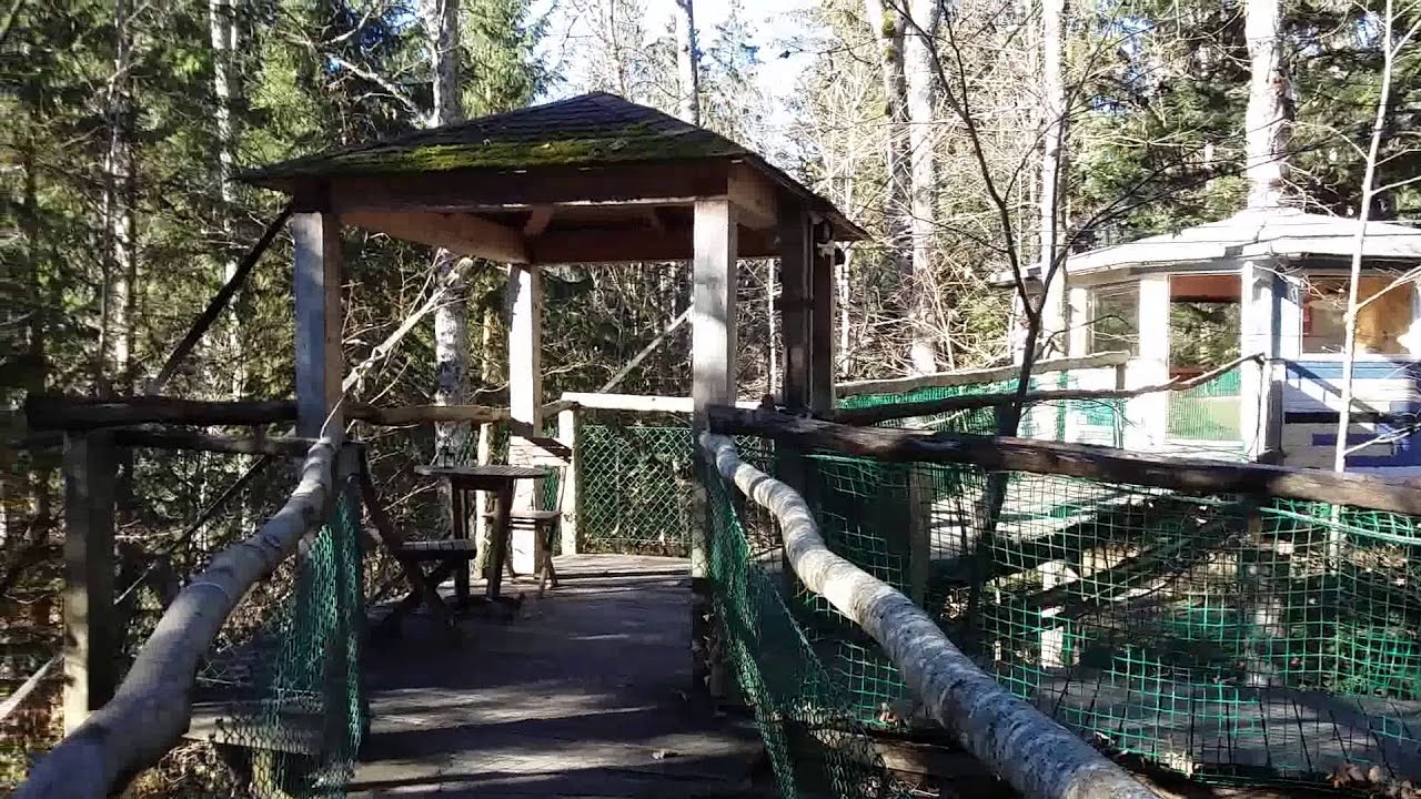 Les Nids - Le Locle - Présentation