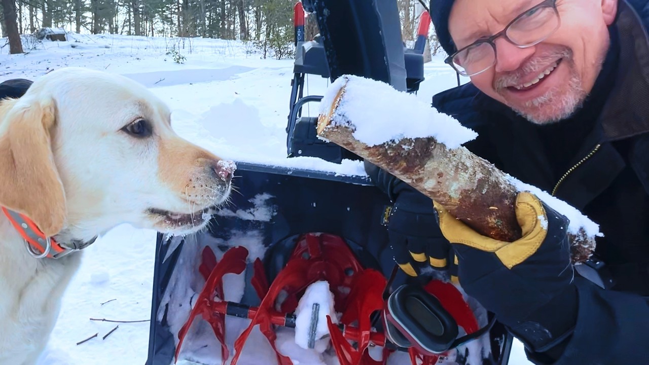 В лаборатории сломали мой снегоуборщик.