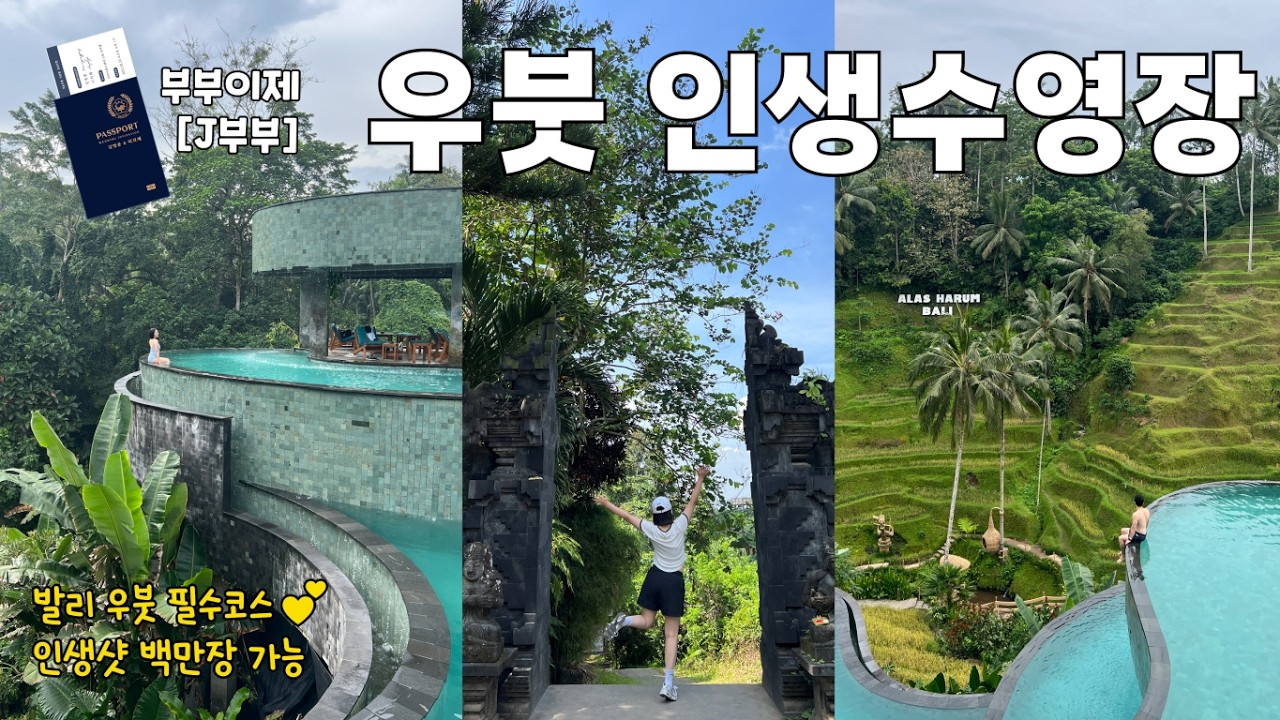 🇮🇩우붓에서 인생수영장을 만나다🦭 발리 우붓 필수코스 / 발리여행 2탄 우붓