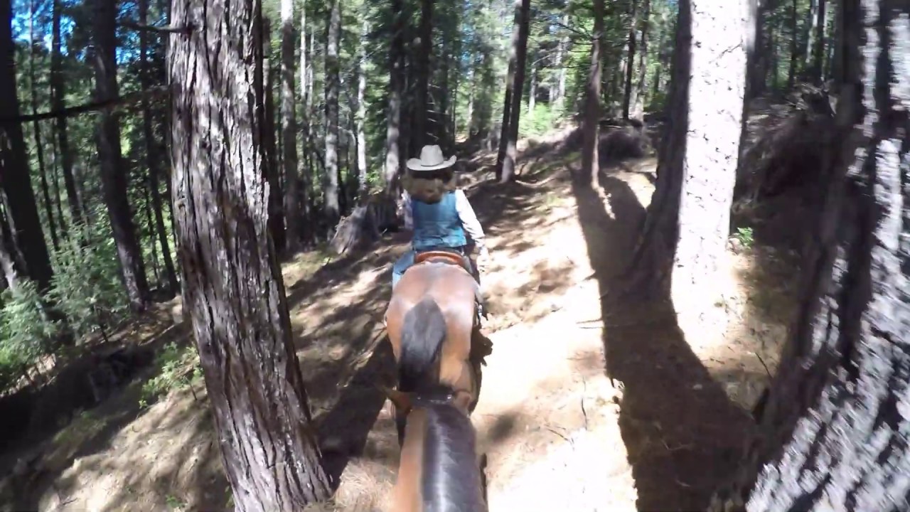 GCTC Poker Ride 6-1-2019 6/14