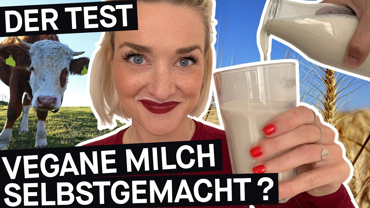 Pflanzenmilch: So machst du Milchalternativen selbst (Sojamilch, Mandelmilch, Hafermilch)