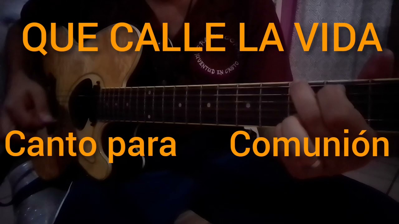 Que Calle la Vida