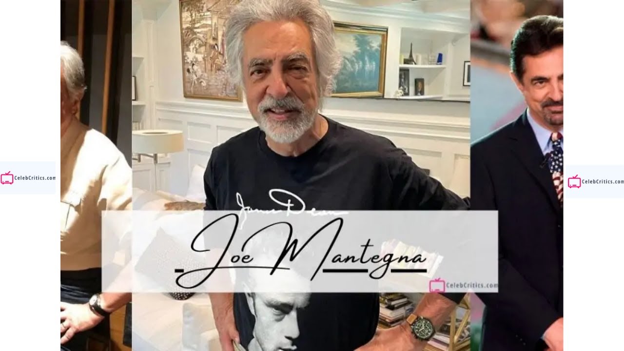 Joe Mantegna Biography [Bio, Relationships, Career, Controversies and Net worth]| Hollywood Stories