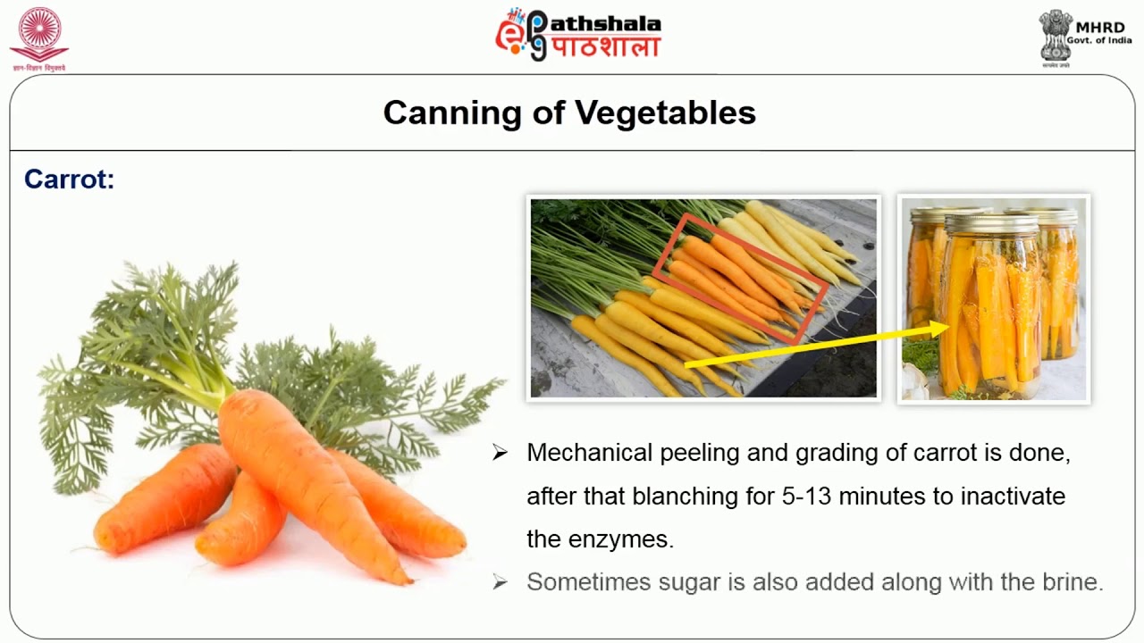 Canning and bottling of different food products