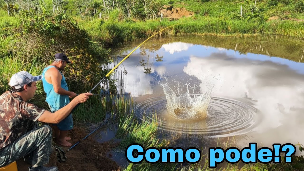 Só cará monstro!!! 😱🙌
