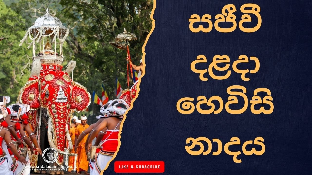 බෞද්ධ හෙවිසි නාදය – දළදා මාලිගාවේ නිරුපණය