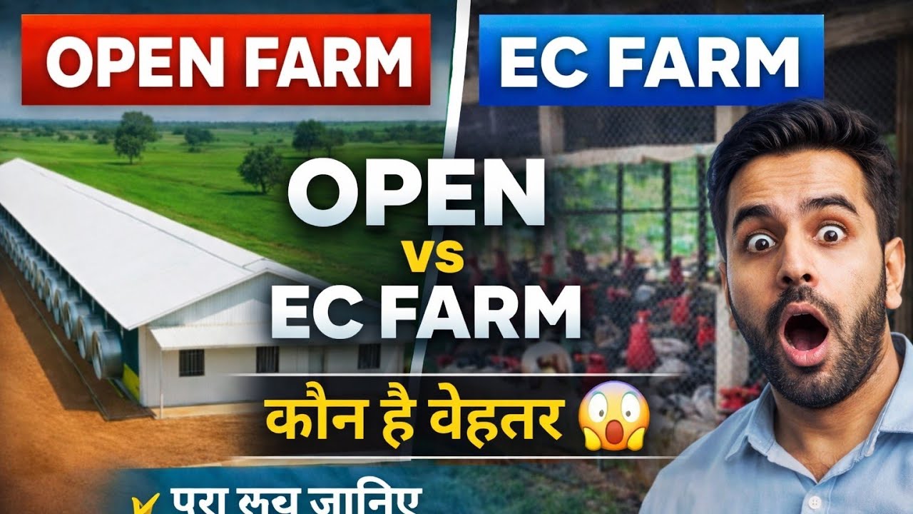 EC FORM V/S open में फर्क क्याहै देखें#ecpoultryfarm 