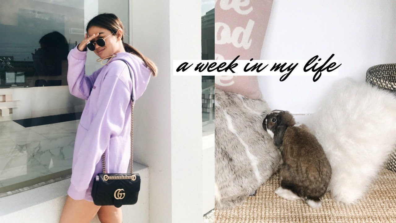 i gave my bunny a home makeover | week in my life
