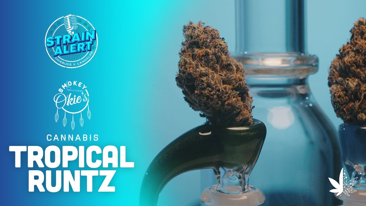 Strain Alert Ep 6 - Smokey Okie's (Tropical Runtz)
