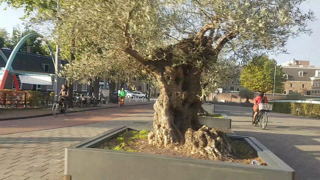 Amsterdam from the tram.  Fall 2018, Line 14: Spui to Zeeburgerdijk