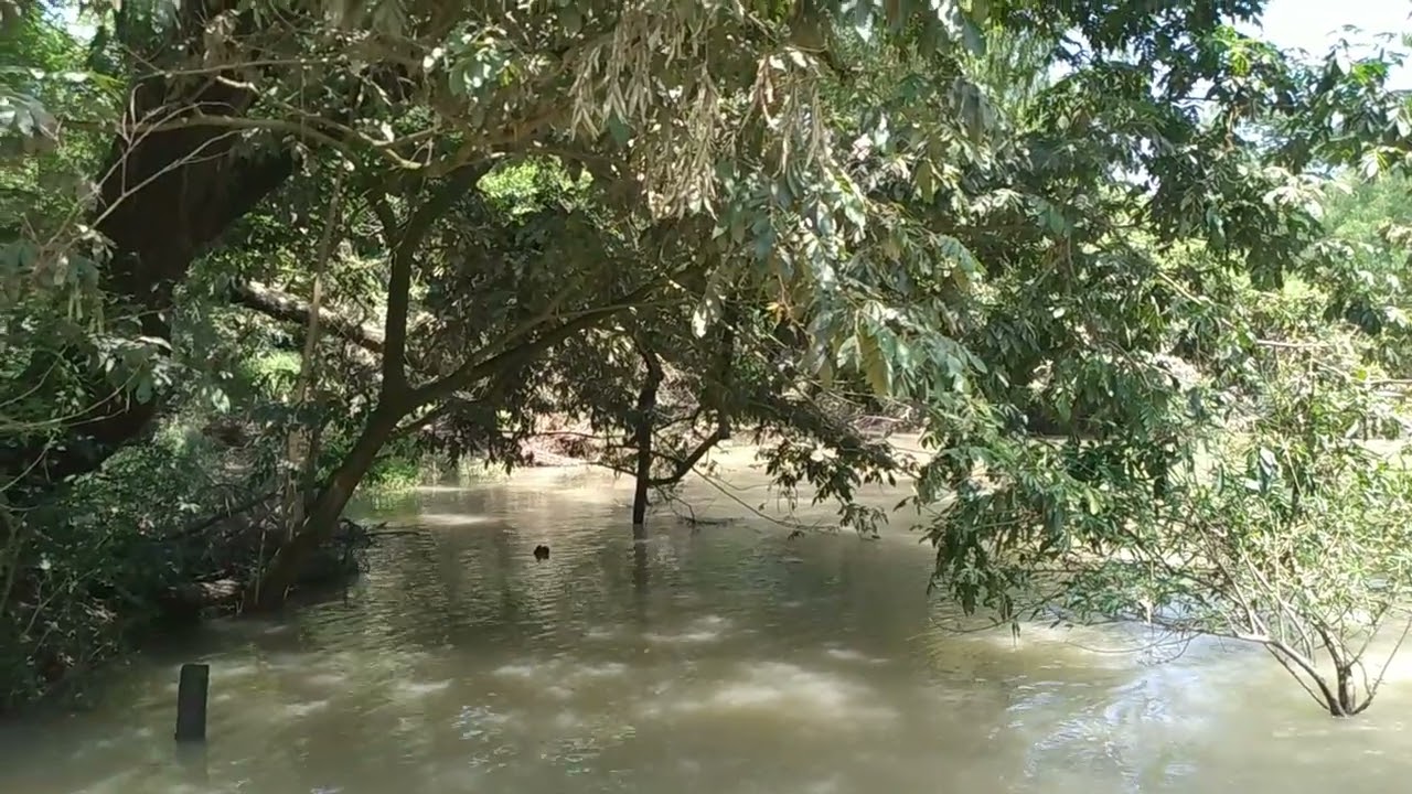 Fuimos al río de almilinga y a sí lo encontramos 