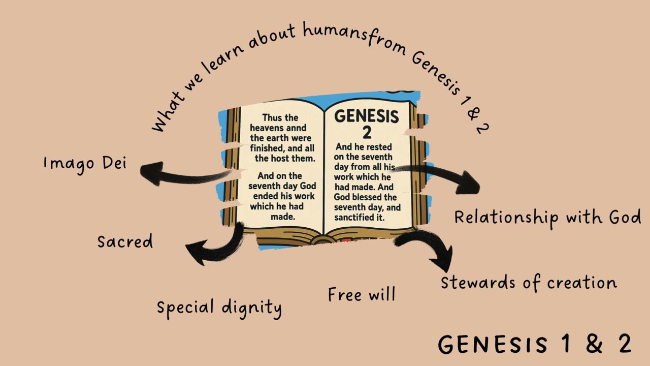 Eduqas GCSE - Foundational Catholic Theology - Why is the book of Genesis so important?