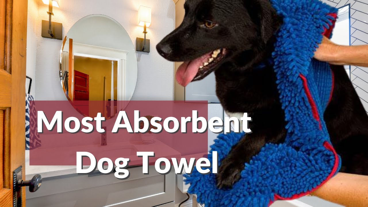 The Greatest Dog Towel Ever