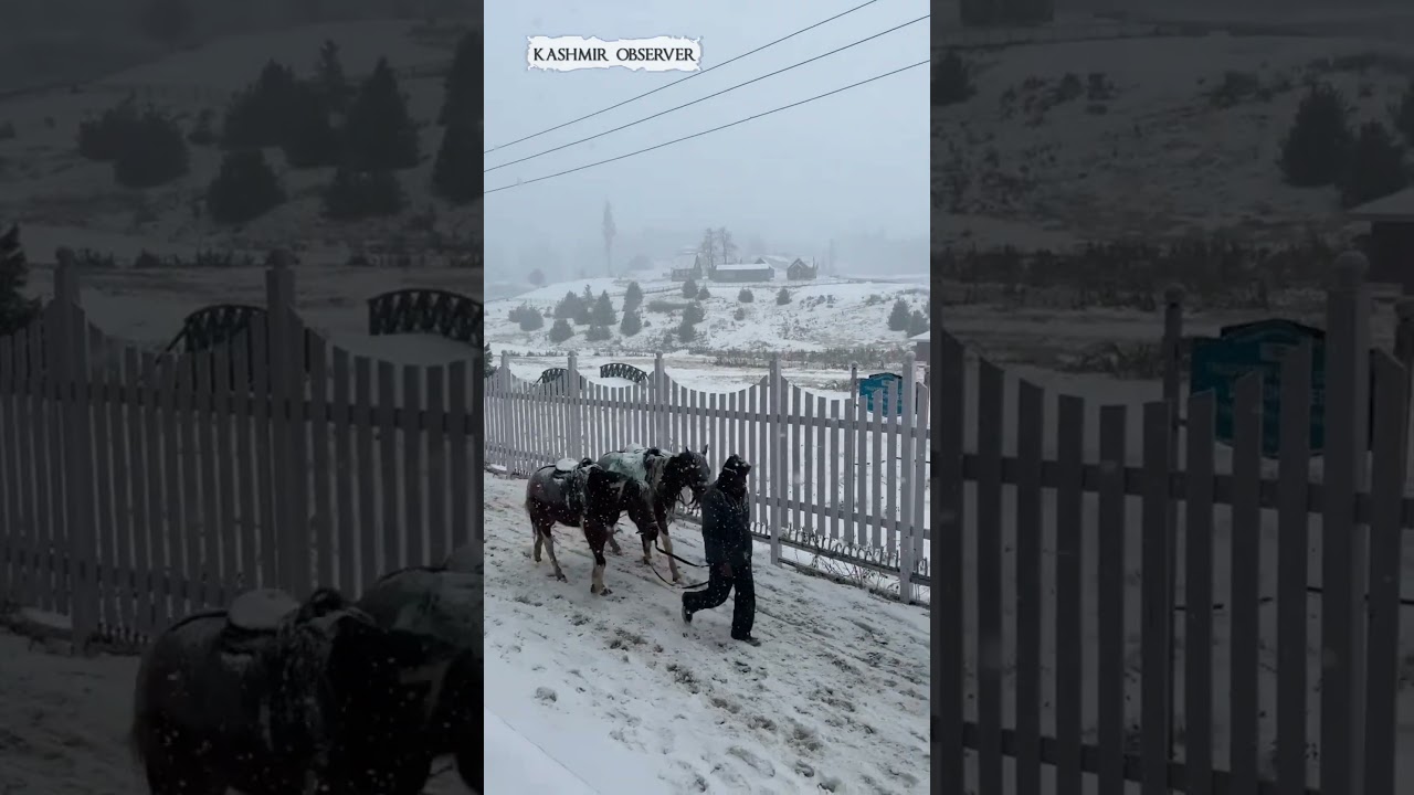 Снегопад и перерыв в дожде привели к продолжительной засухе в Кашмире.