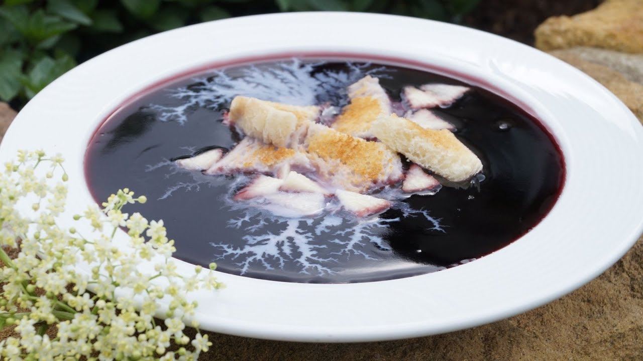 Holundersuppe wie zu Oma´s Zeiten mit Apfel, Zwieback, Milch @TopfguckerTV #holunder