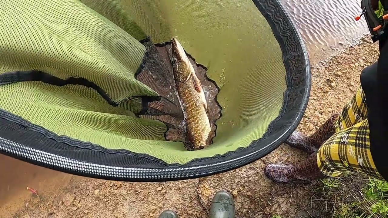 Sweethope. Two Novice Anglers accidentally catch Pike on the fly.