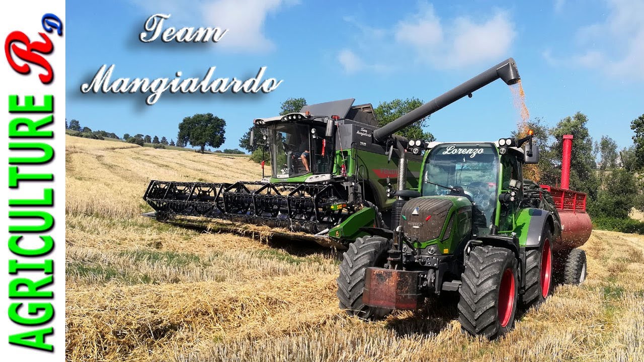 Fendt 6335 CPLI  Paralevel - Team  Mangialardo - Trebbiatura  2020