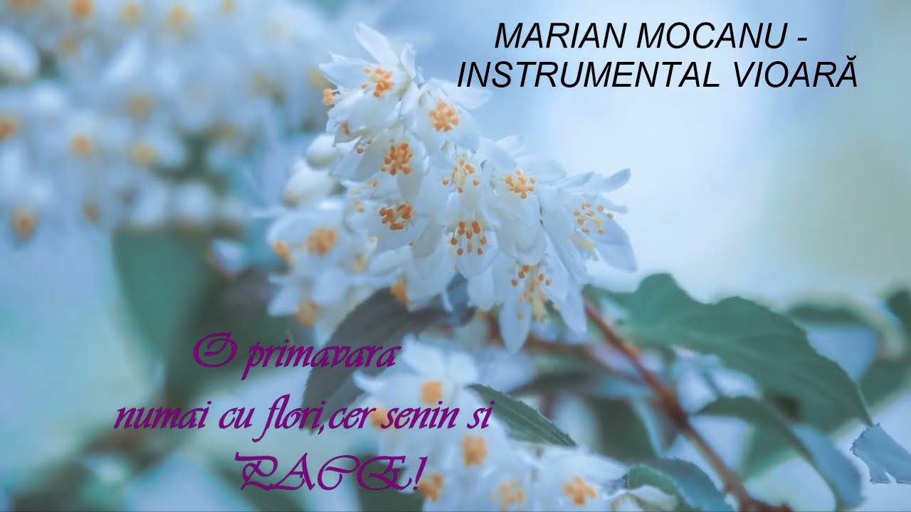 MARIAN MOCANU ~  INSTRUMENTAL VIOARĂ- Primavara- *****
