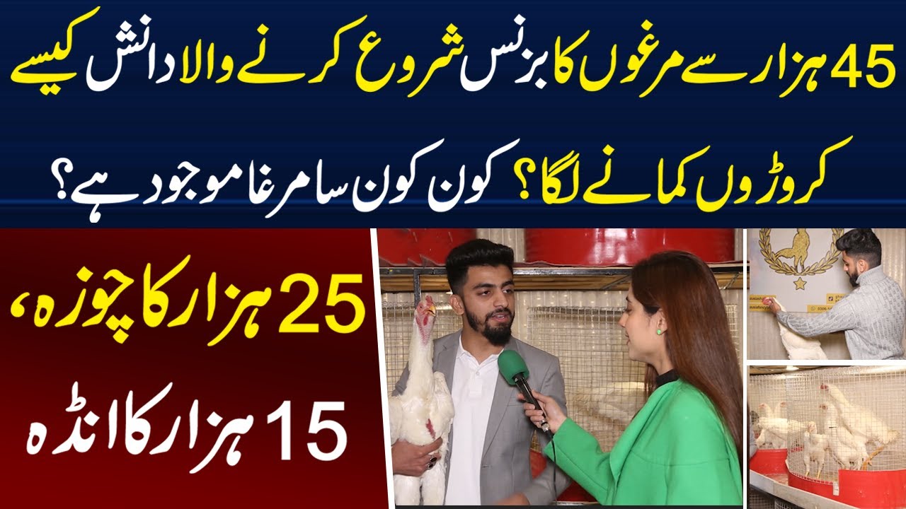 45 Hazar Say Murgon Ka Business Shuro Karne Wala Danish Kese Croron Kamany Laga? | Sajal Malik