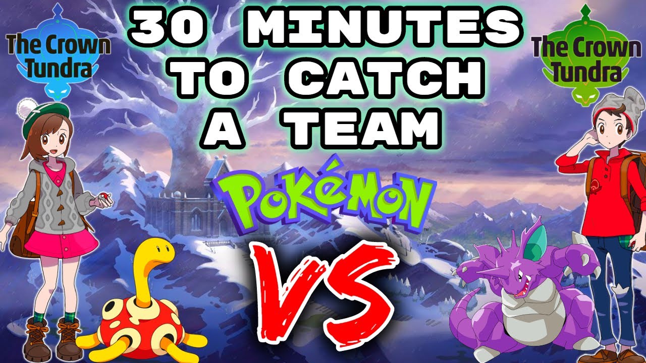 30 Minutes To Catch Pokemon In THE CROWN TUNDRA. Then We FIGHT!