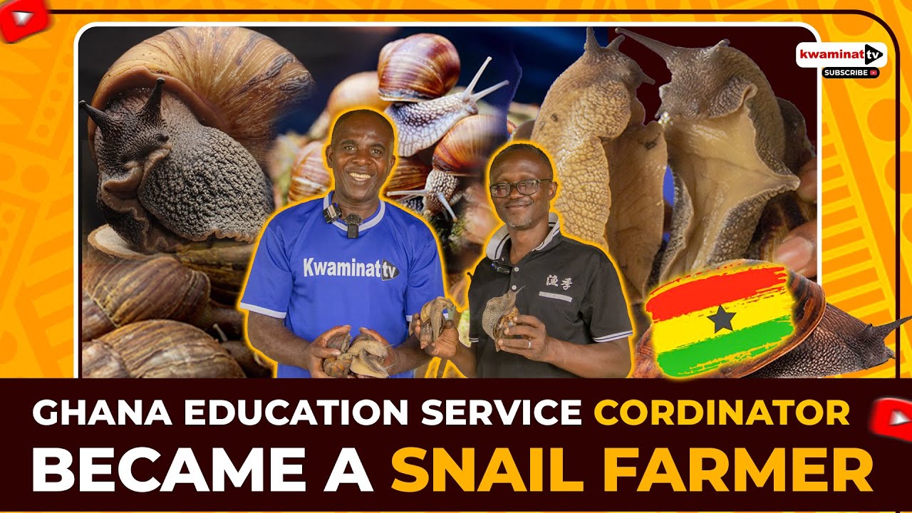 Teacher Turned Successful Snail Farmer: The Inspirational Story Of A Ghanaian Educator 🌟🐌