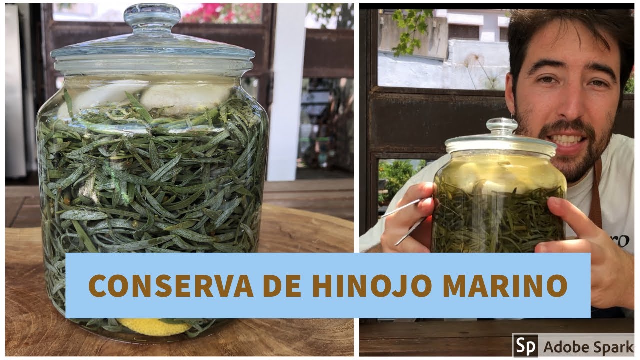 Hinojo marino fermentado en conserva