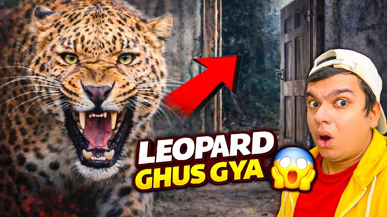 Ghar Ke Andar Leopard… Bachi Ko Le Gaya 💔 SW Pet House Please Help 😢
